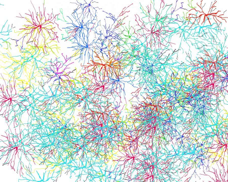 Gehirnzellen Illustration