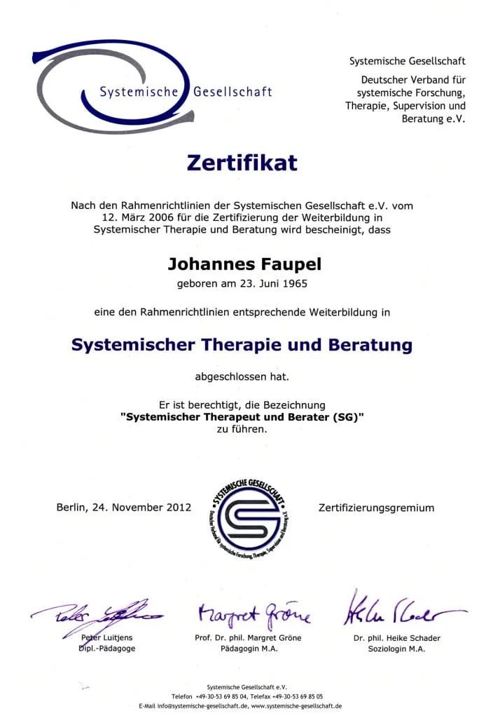 Die Systemische Gesellschaft, (Deutscher Verband für systemische Forschung, Therapie, Supervision und Beratung e.V.), Berlin