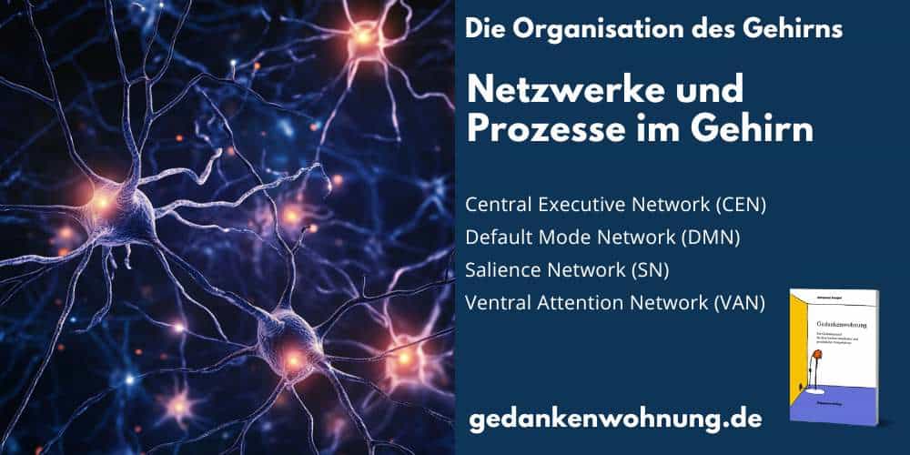 Das Gehirn, seine Netzwerke und Funktionen